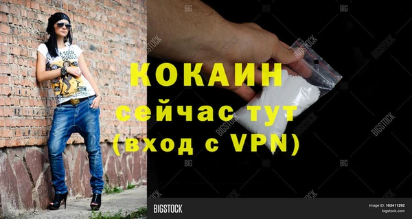 стафф Заводоуковск