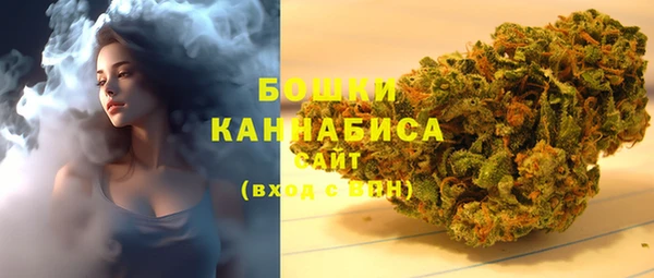 стафф Заводоуковск