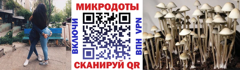 купить наркотики цена  Сердобск  Псилоцибиновые грибы Magic Shrooms 