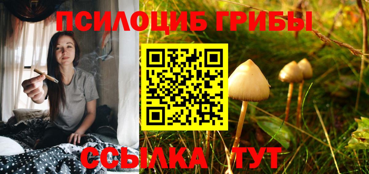 Псилоцибиновые грибы MAGIC MUSHROOMS  Сердобск 