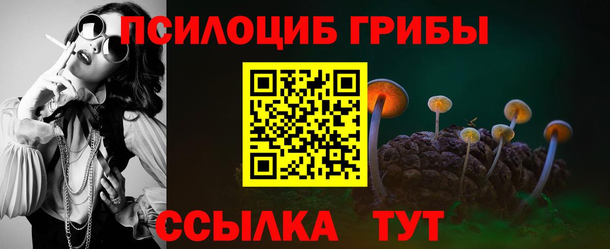 Галлюциногенные грибы прущие грибы  Вход с VPN  Сердобск 